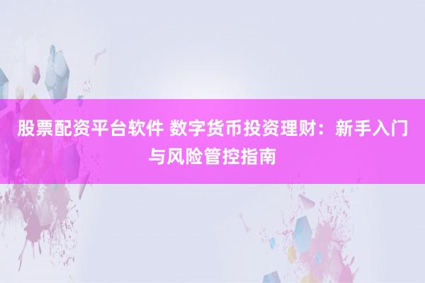 股票配资平台软件 数字货币投资理财：新手入门与风险管控指南