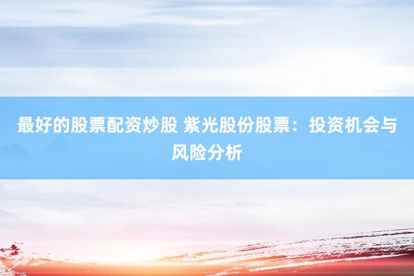 最好的股票配资炒股 紫光股份股票：投资机会与风险分析