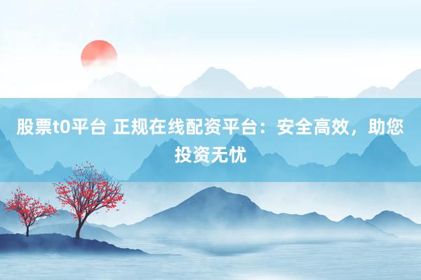股票t0平台 正规在线配资平台：安全高效，助您投资无忧