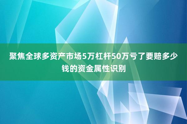 聚焦全球多资产市场5万杠杆50万亏了要赔多少钱的资金属性识别