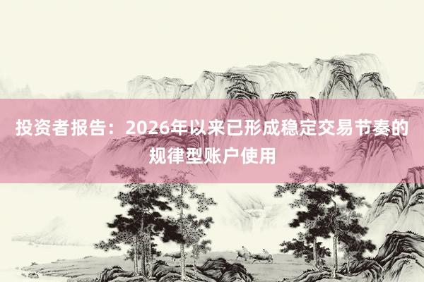 投资者报告:2026年以来已形成稳定交易节奏的规律型账户使用