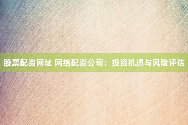 股票配资网址 网络配资公司：投资机遇与风险评估