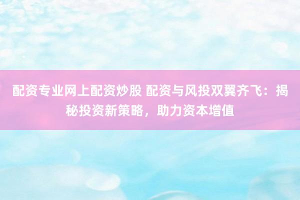 配资专业网上配资炒股 配资与风投双翼齐飞：揭秘投资新策略，助力资本增值